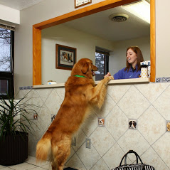 Logo for INN TO PETS INC